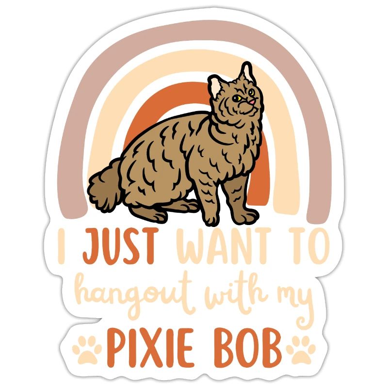 Süße Pixie Bob Katze