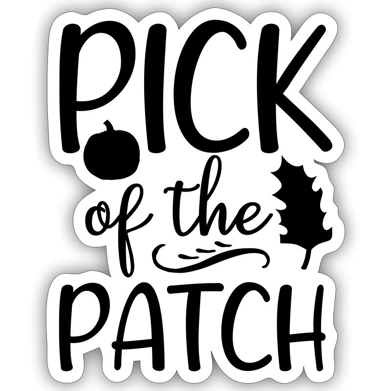 16 choix du patch
