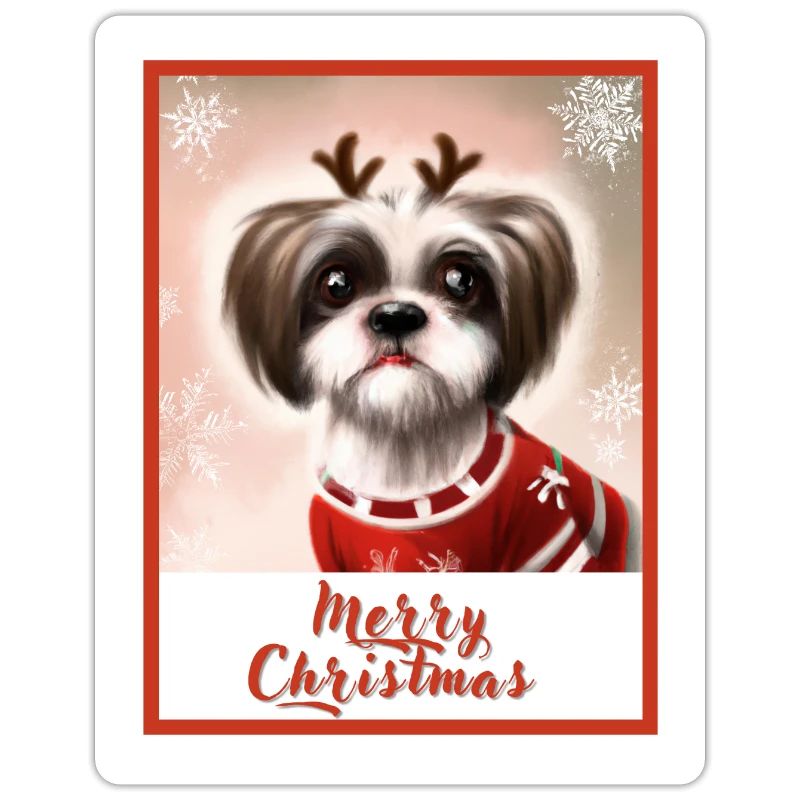 Mignon chien Shih tzu dans un pull de Noël.