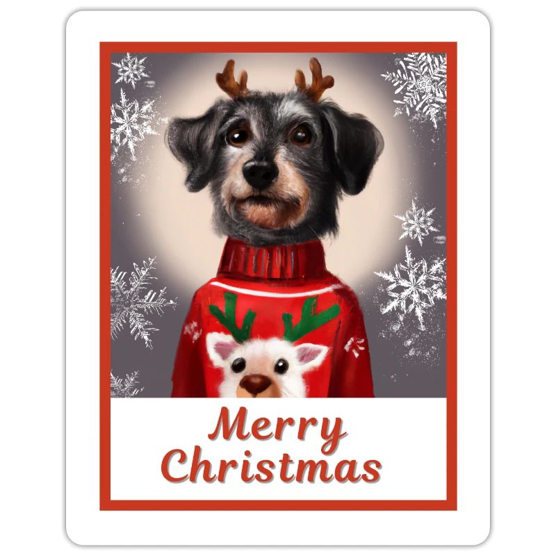 Schnauzer noir miniature dans un pull de Noël.