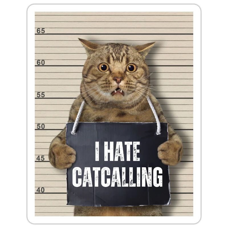 I Hate Catcalling