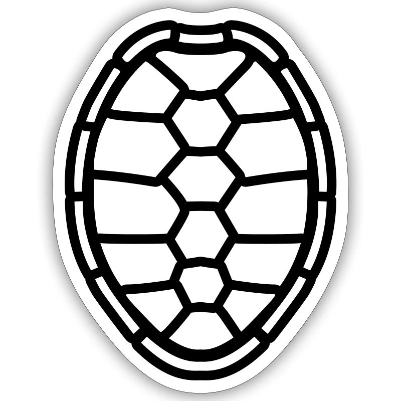 modèle de conception de coquille de tortue de band