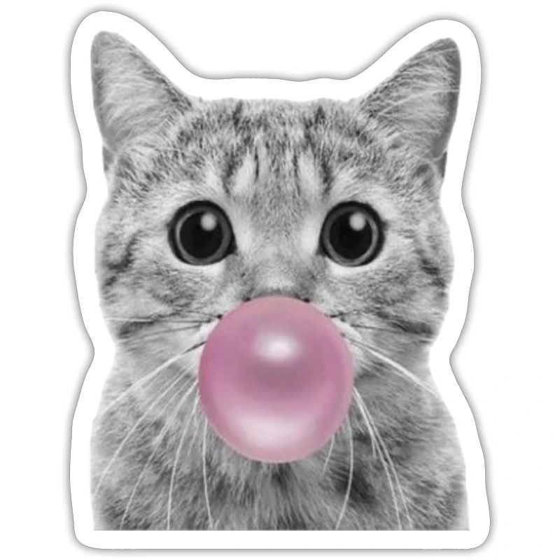 Bubble Cat