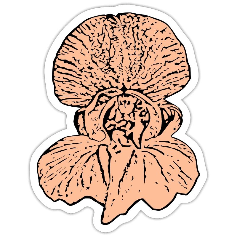 Muttertags Geschenk Mutter Muttertag Geschenkidee 