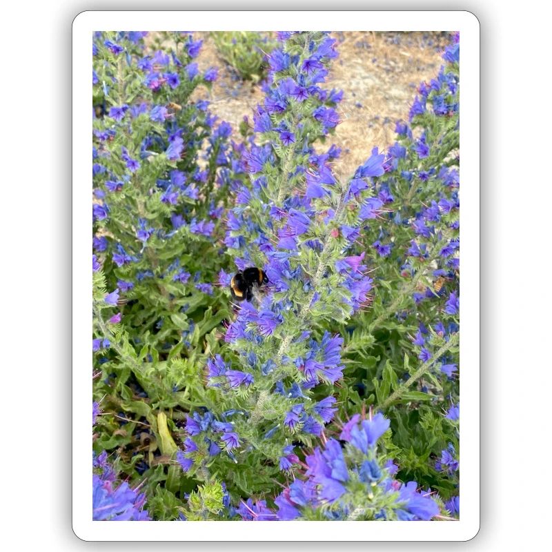 Lilac Blossoms Bee-Friendly Pattern