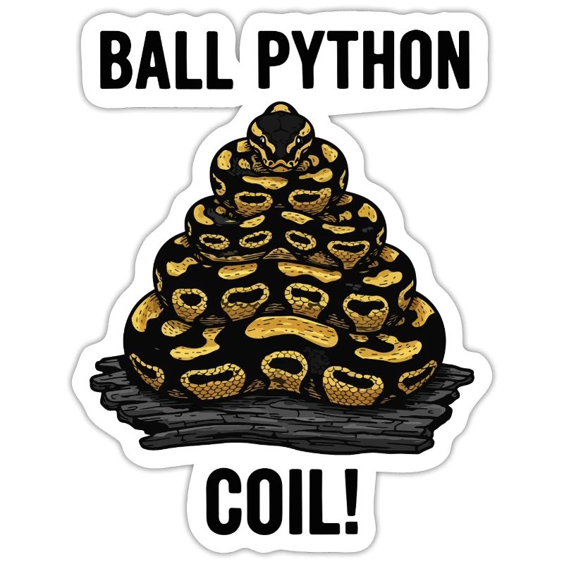 Royal Python Ball Python Coil Reptilienpyramide
