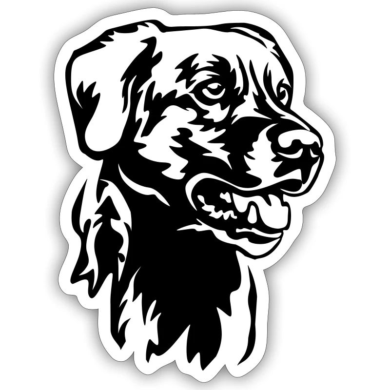Labrador Head