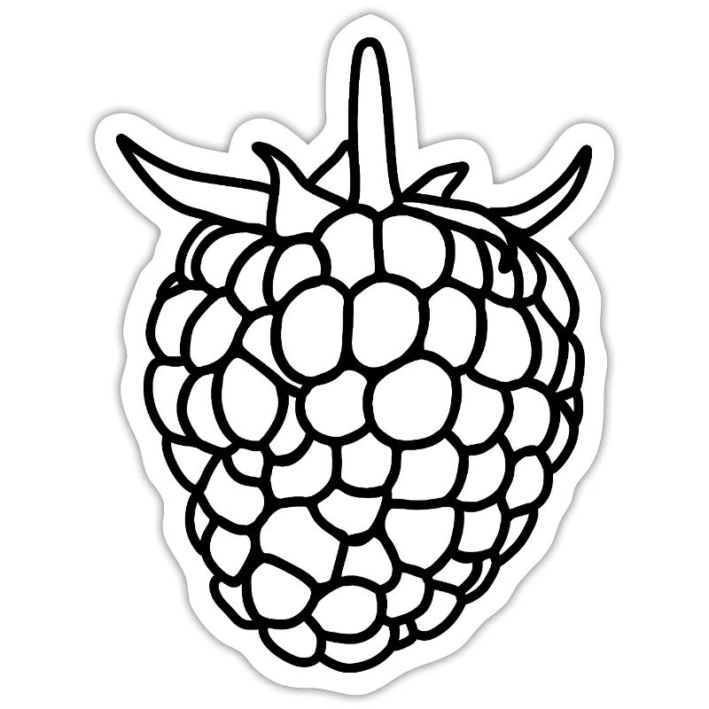 Raspberry Silhouette