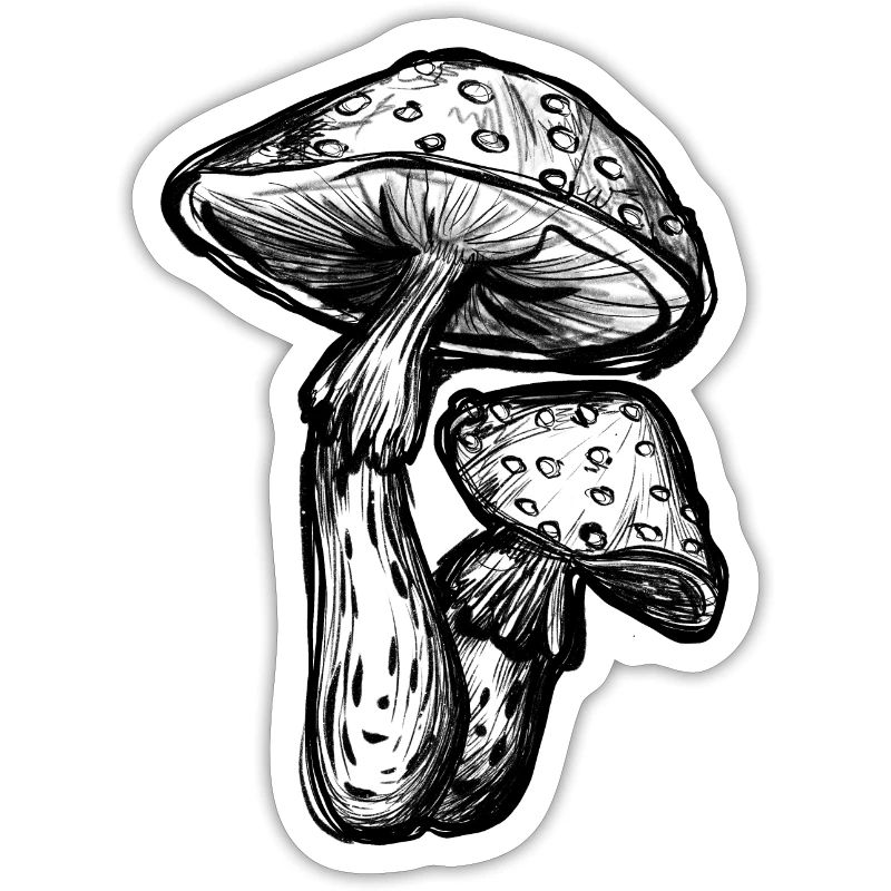 Toadstools Illustration