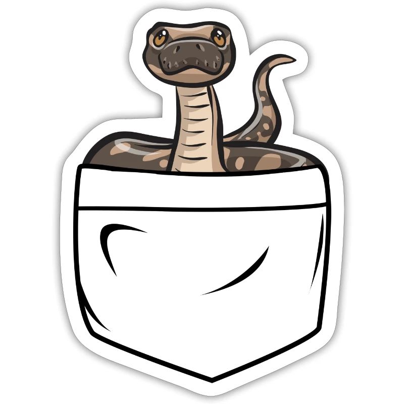 Ball Python Schlange Königspython