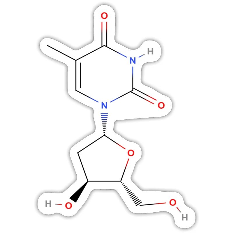 Thymidine Molecule - Colored Structural Formula