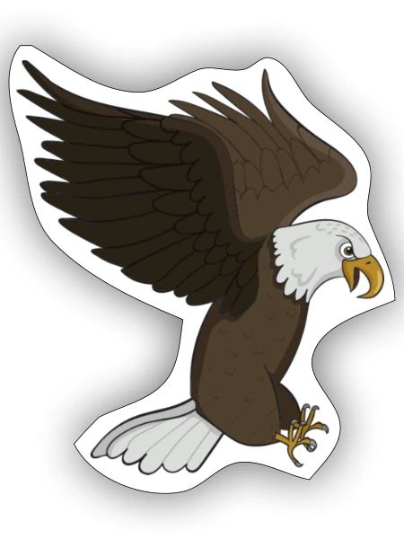 Aigle à tête blanche - Sticker taille S (10 x 10 cm) - blanc mat - Devant
