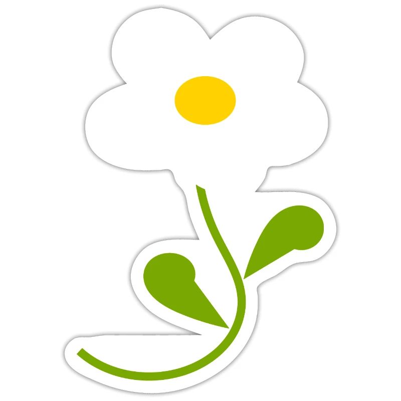 Fleur de marguerite blanche Fleurs blanches Fleurs blanches