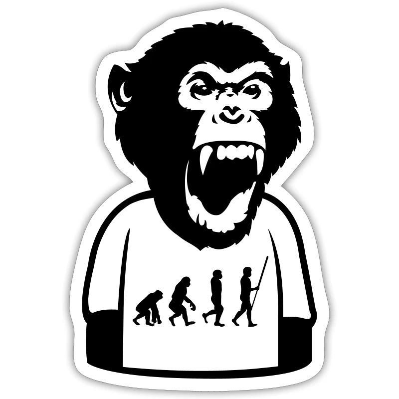Monkey Evolution