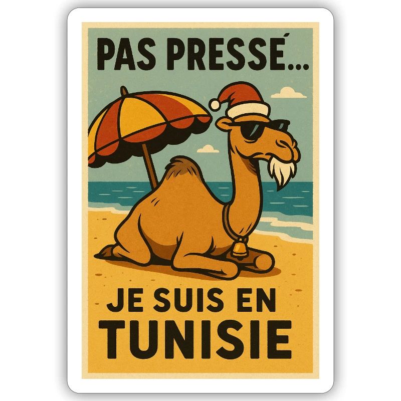 Weihnachtskamel in Tunesien