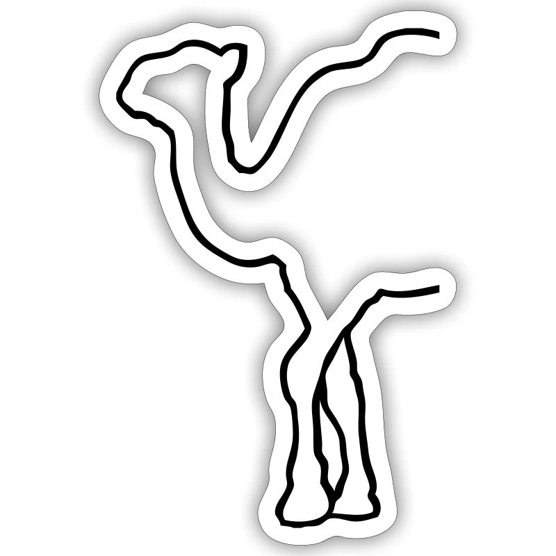 Camel - Kamel - Dromedar