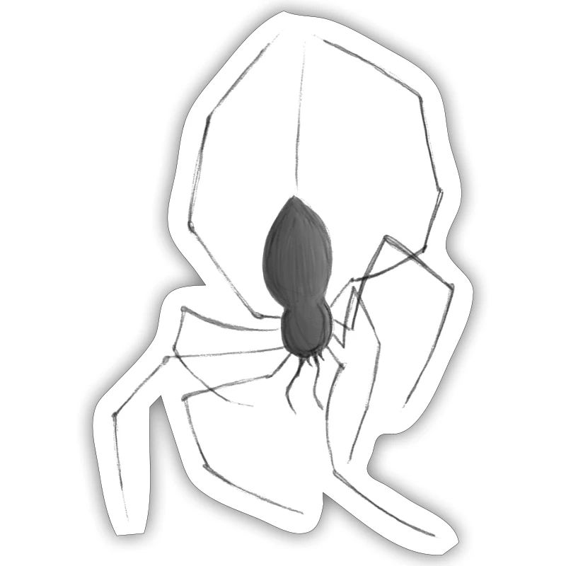 Araign? e
