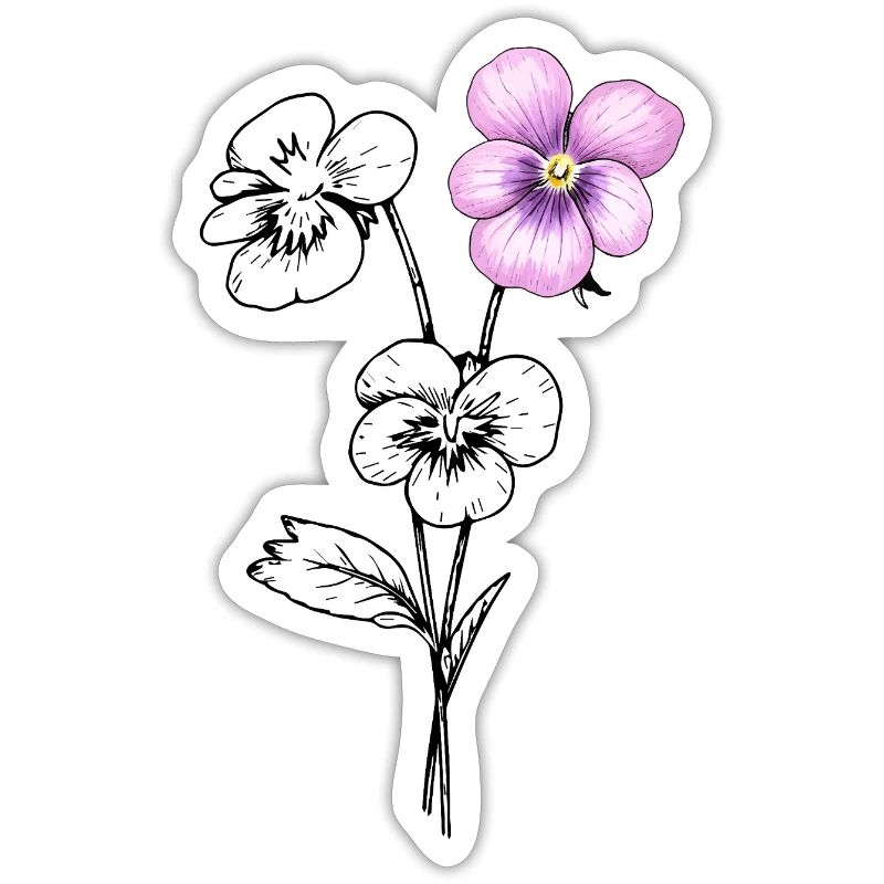 Illustration de fleurs de pensée