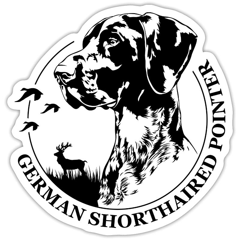 GERMAN SHORTHAIRED POINTER Jagdhund Wilsigns Hunde