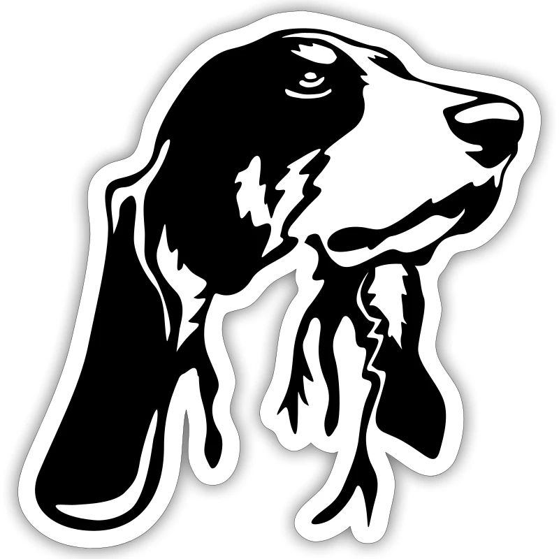 Bernese hound head