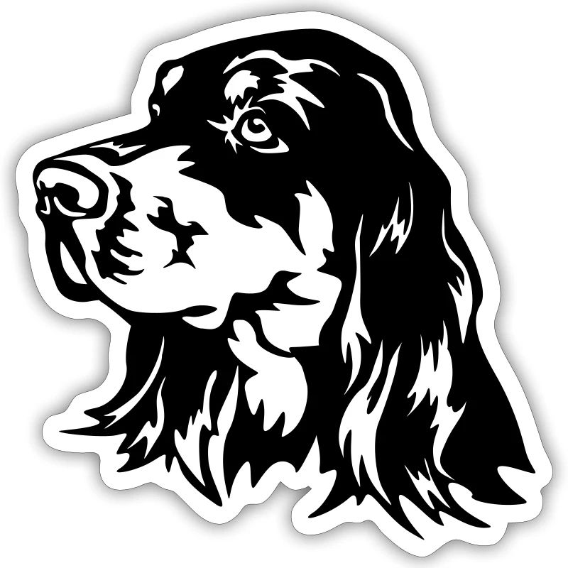 Gordon Setter Head