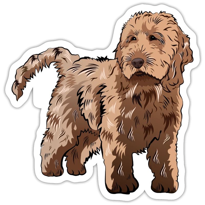 Cadeau de chien Cockapoo