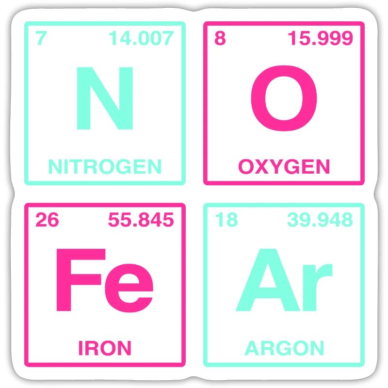 NO FEAR - avec des éléments du système de perdiode