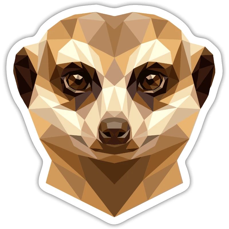 Suricate Suricate Douce Mangouste Suricate