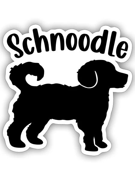 Schnoodle Hunde - Sticker Größe S (10 x 10 cm) - Mattweiß - Vorne