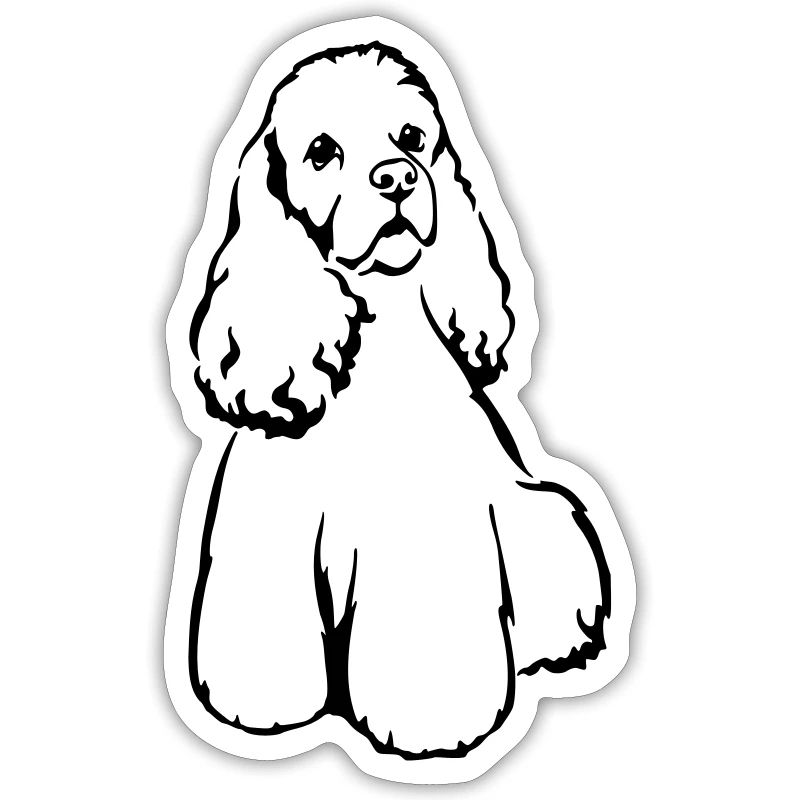 American Cocker Spaniel