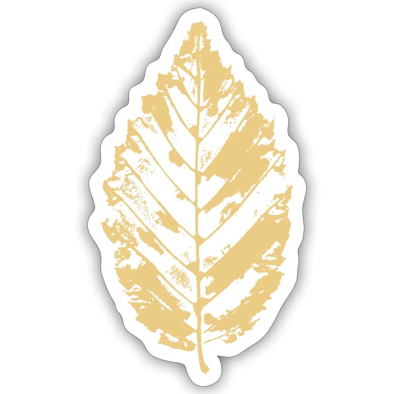 Beech leaf - Beech leaf - BOTANICAL