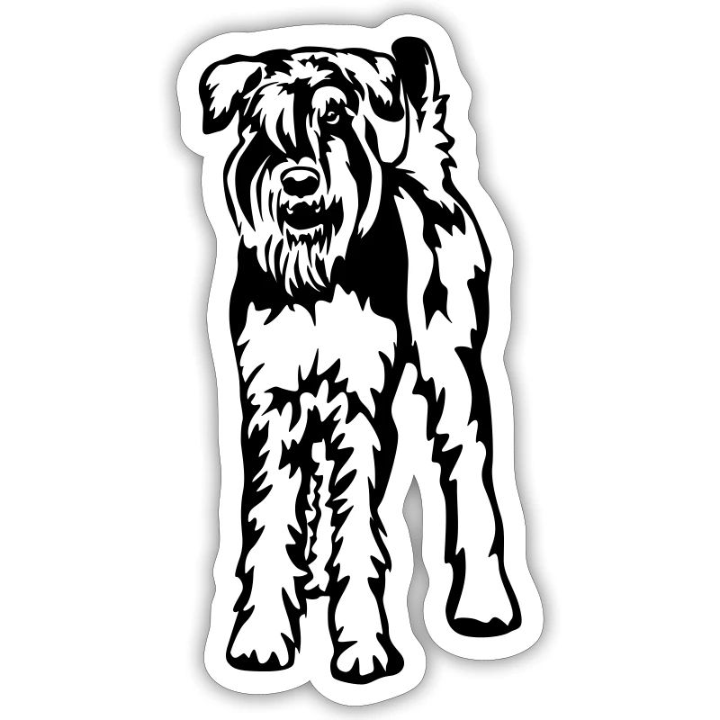 Schnauzer géant