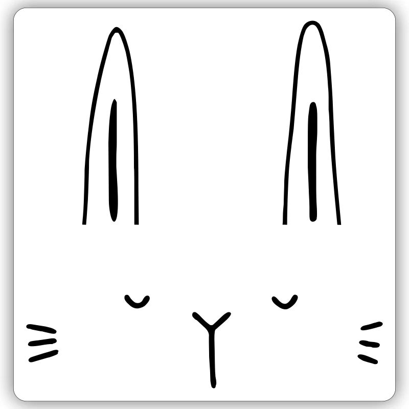 Bunny rabbit face face gift idea