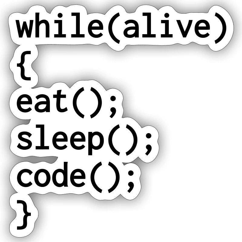 Developer Entwickler Développeur Computer Geek