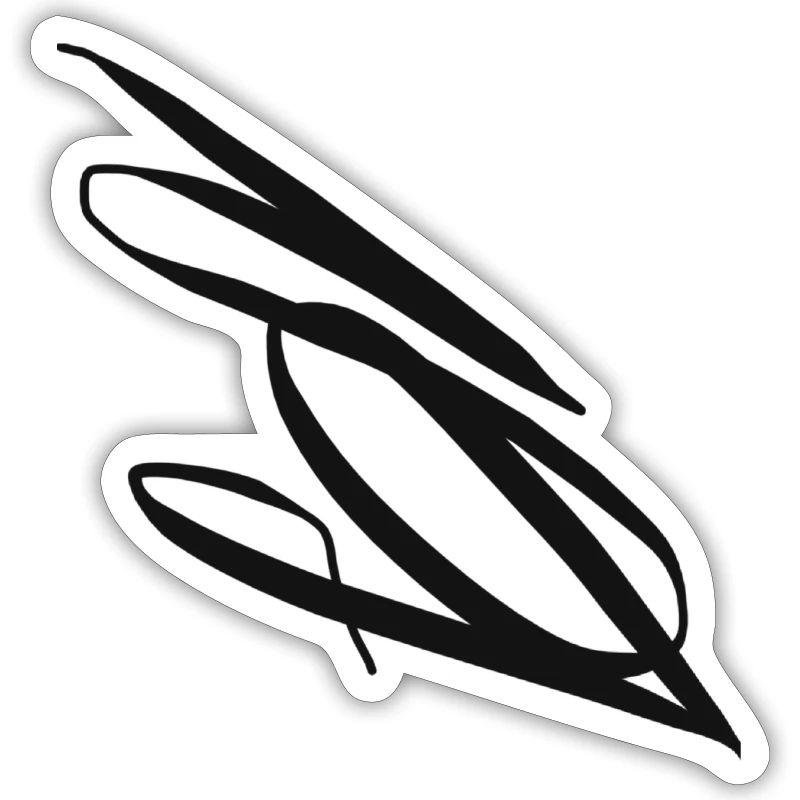 The Black S : Der schwarze S