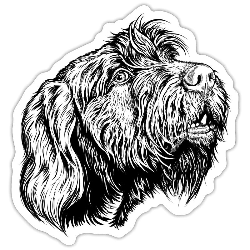 Pudelpointer se joint à la conversation