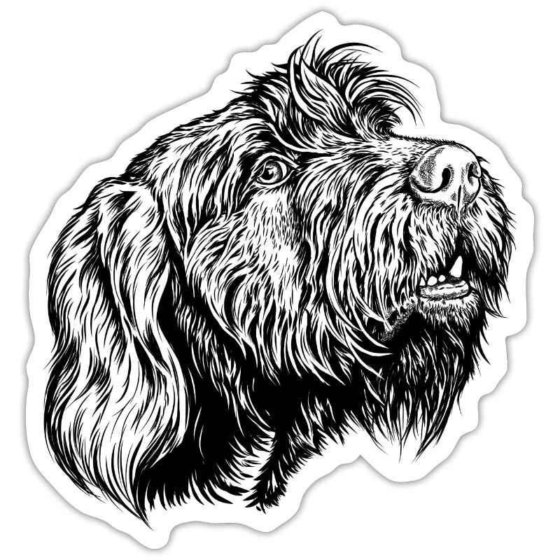 Pudelpointer redet mit