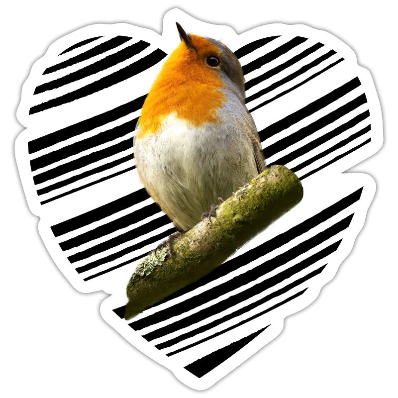 Robin Erithacus rubecula