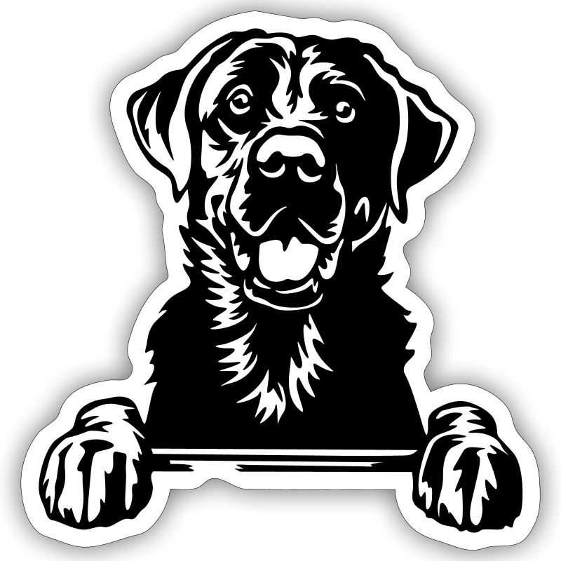 Labrador Head