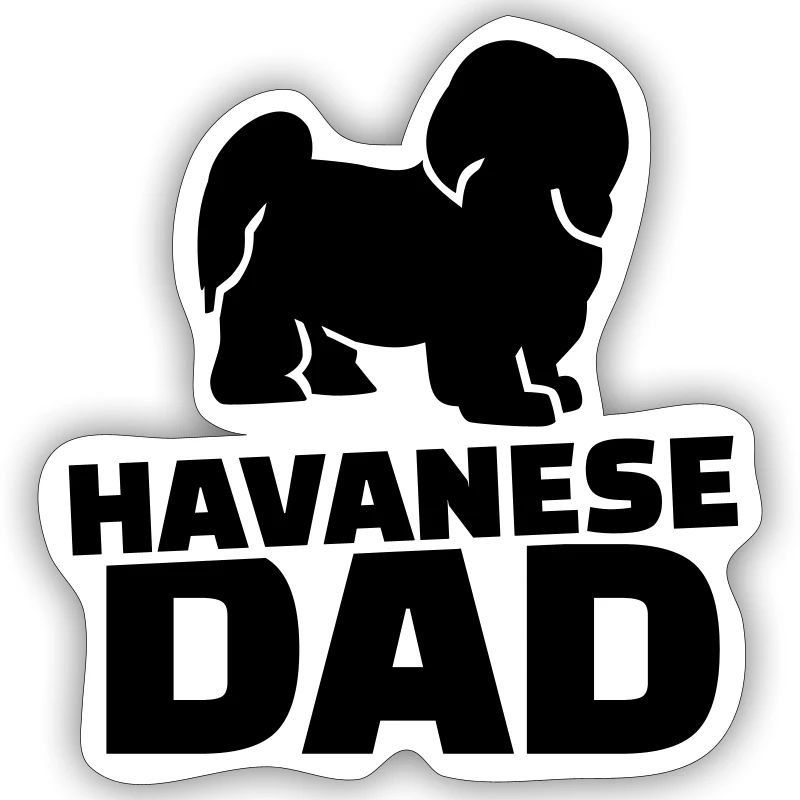 Havanese Dad
