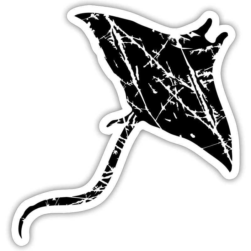 Rayures fissures utilisées stingrays nager plongée