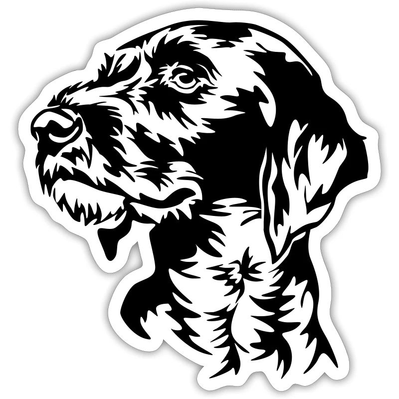 German Wirehaired Pointer head