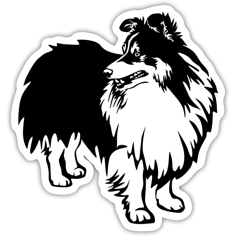 Sheltie