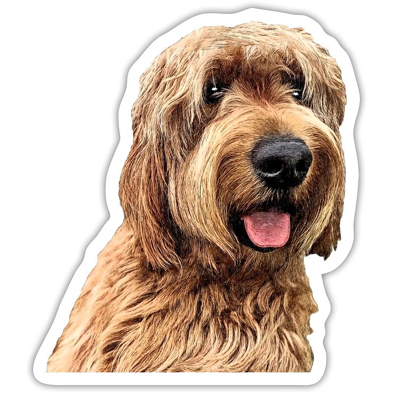 Otterhund 2