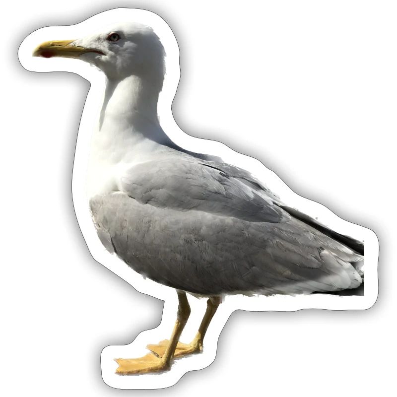 Möwe Vogel Geschenkidee