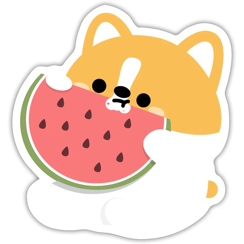 Corgi Chiot Pastèque