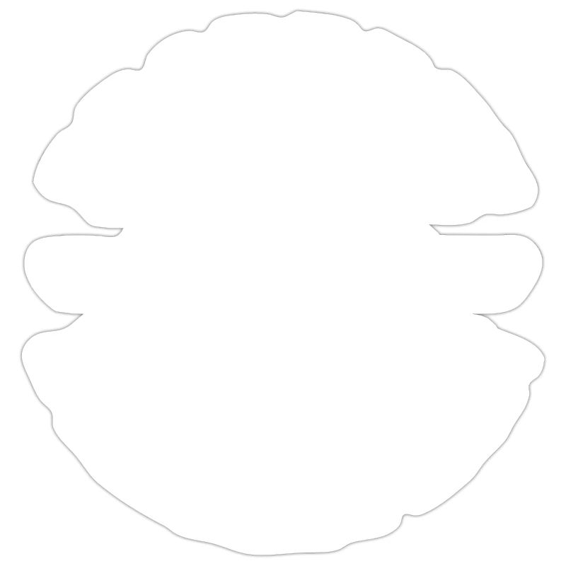 Eigentum eines Dalmatiners