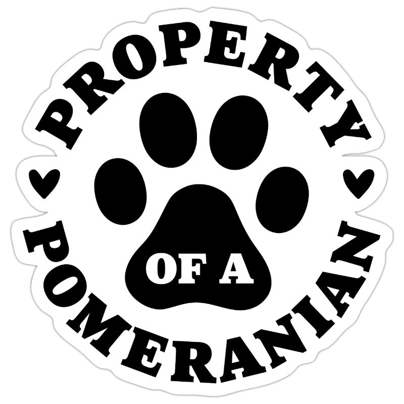 Eigentum eines Zwergspitzs