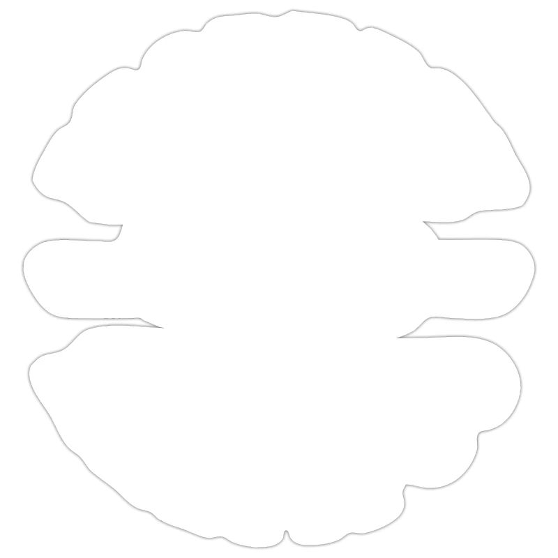 Eigentum eines Maltipoo