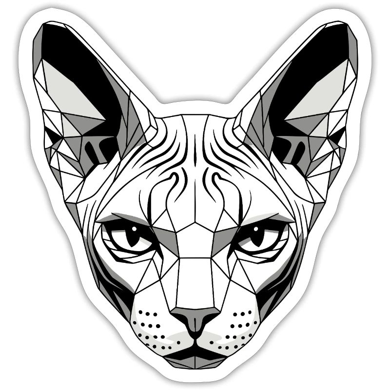 Sphynx Chat Sphynx Chat Chat Canadien Sphinx mignon